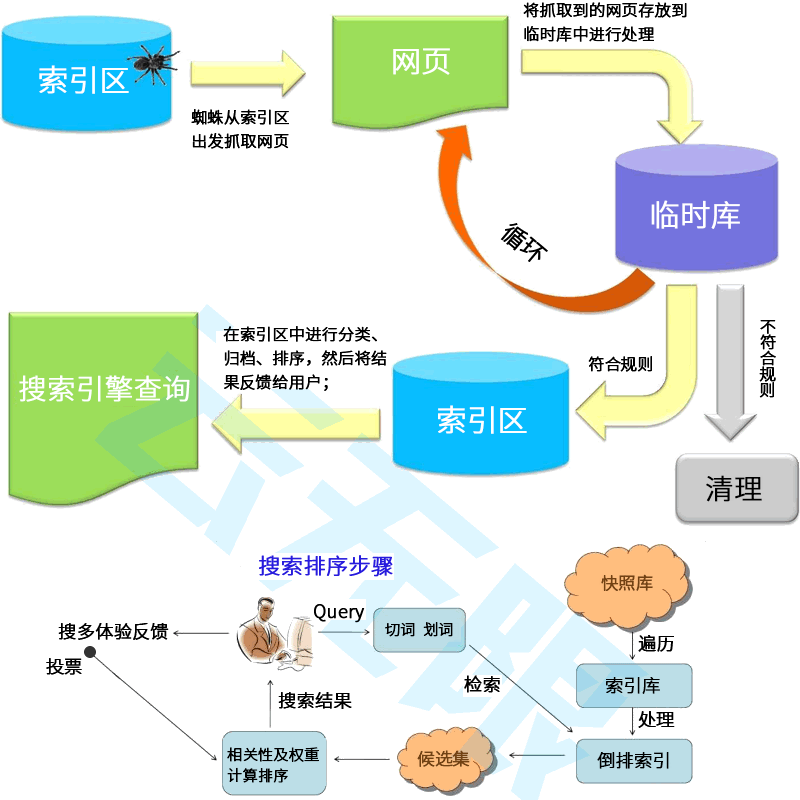 芯思维SEO